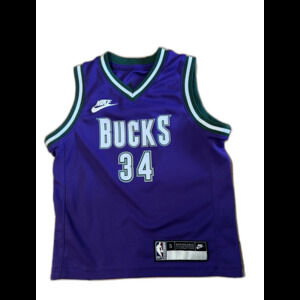 Youth Nike Purple Milwaukee Bucks Giannis Antetokounmpo 34 Jersey Sz S